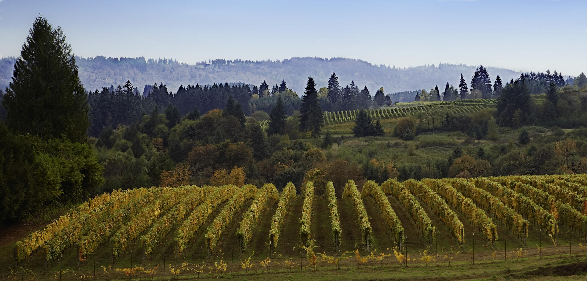 Salem Oregon